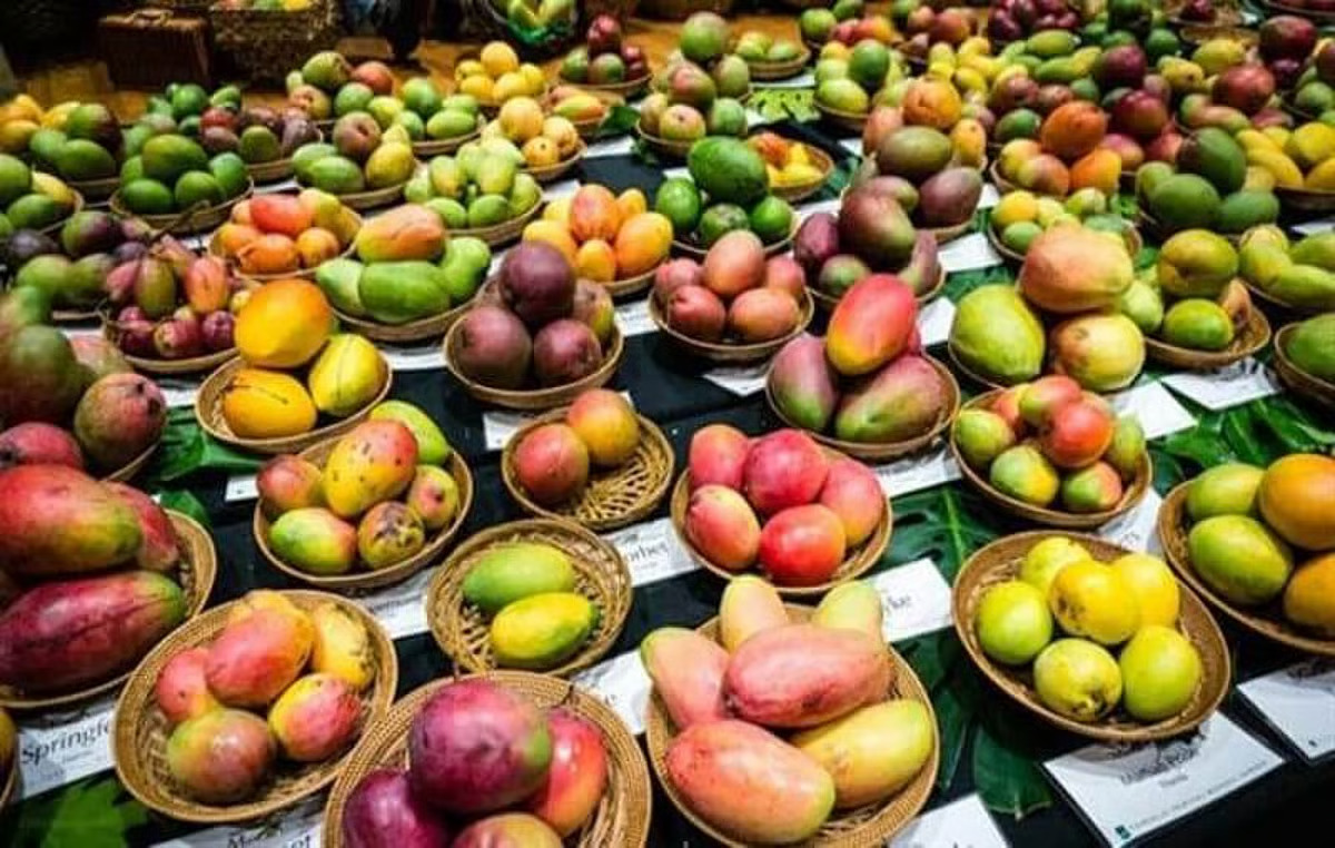 Malda Mango Festival (Aam Utsav)