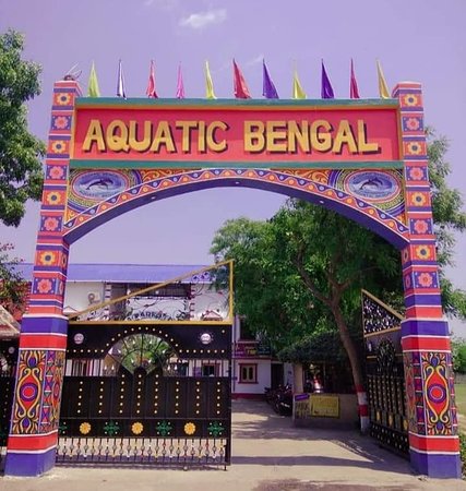 Aquatic Bengal