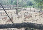 Adina Deer Park